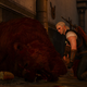 Illustration for article titled Everything* In The Witcher 3, Ranked